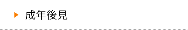 成年後見
